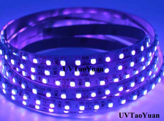 UV Strip Light SMD5050 395nm 1M/60LED